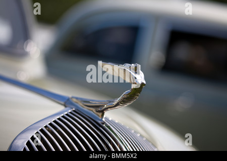 Classico ornamento del cofano Foto Stock