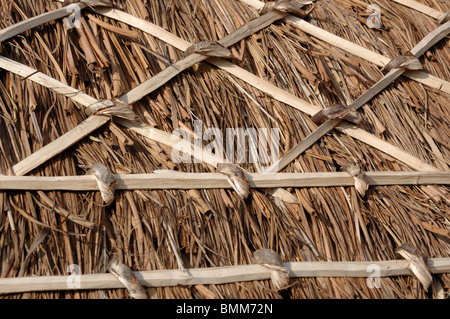 Close-up di Norfolk reed la paglia sul tetto a capanna Foto Stock