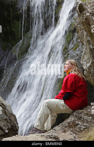 Al Powerscourt Waterfall, Co. Wicklow, Repubblica di Irlanda Foto Stock