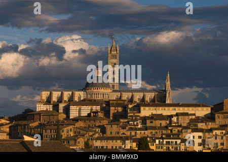 Santa Maria Assunta Duomo di Siena Toscana,Italia Foto Stock