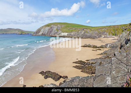 Slea testa con Coumeenoule Beach, la penisola di Dingle, Co. Kerry, Repubblica di Irlanda Foto Stock