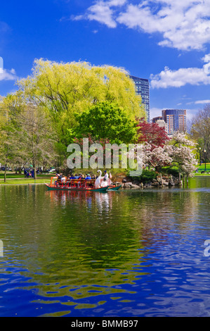 Swan barca sulla laguna al giardino pubblico, Boston, Massachusetts Foto Stock