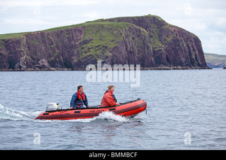 Viaggio con i delfini nella baia di Dingle, penisola di Dingle, Co. Kerry, Repubblica di Irlanda Foto Stock