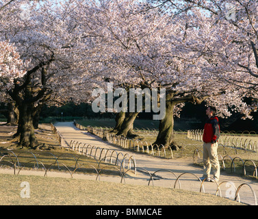 Koraku-en, Korakuen è un giardino giapponese si trova a Okayama, Prefettura di Okayama. Foto Stock
