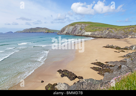 Slea testa con Coumeenoule Beach, la penisola di Dingle, Co. Kerry, Repubblica di Irlanda Foto Stock