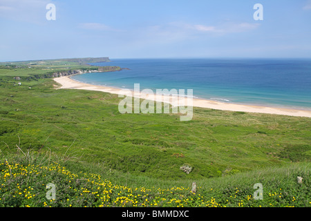 Spiaggia sabbiosa a Whitepark Bay, nella contea di Antrim, Irlanda del Nord Foto Stock