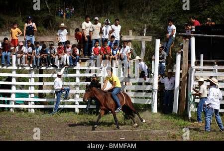 Un uomo che cavalca un cavallo durante un rodeo concorrenza in Vilcabamba in Ecuador Foto Stock