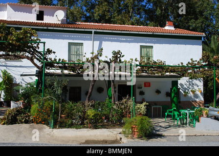 Ristorante/bar in campagna, vicino a Tolox, provincia di Malaga, Andalusia, Spagna, Europa occidentale. Foto Stock