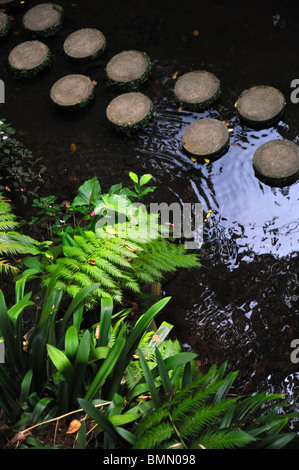 Laghetto, Monte Palace Tropical Garden - Monte, Madeira Foto Stock