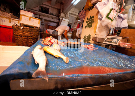 Pesci sul display in negozio nel mercato del pesce di Hong Kong Foto Stock