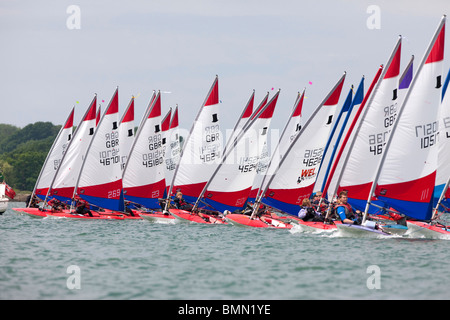 Topper dinghy racing nel porto di Chichester, Regno Unito Foto Stock