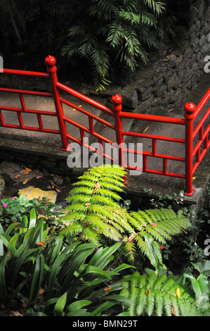 Monte Palace Tropical Garden - Monte, Madeira - still life Foto Stock