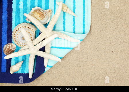 Seashells and striped beach towel on sand beach,Closeup. Foto Stock