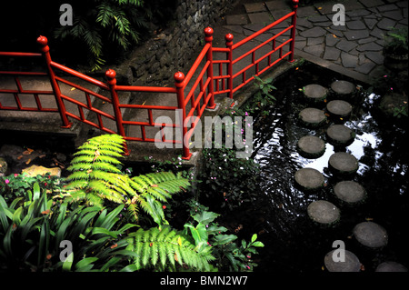 Laghetto, Monte Palace Tropical Garden - Monte, Madeira Foto Stock