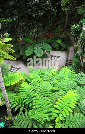 Monte Palace Tropical Garden - Monte, Madeira - dettaglio Foto Stock