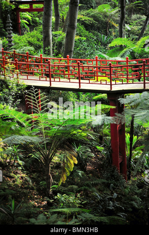 Bridge, Monte Palace Tropical Garden - Monte, Madeira Foto Stock