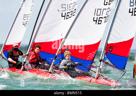 Topper dinghy racing nel porto di Chichester, Regno Unito Foto Stock