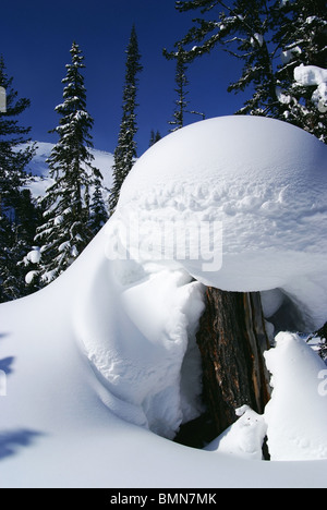 Grande cumulo di neve in Western Sayan montagne. La Siberia. La Russia Foto Stock