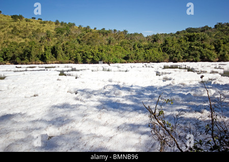 La contaminazione del fiume Tiete a São Paulo Brasil Foto Stock