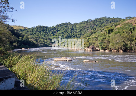 Fiume inquinato con la foresta sullo sfondo Foto Stock