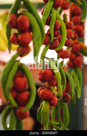 Chilis fresco e peperoni sul display in un mercato di Venezia, Italia Foto Stock