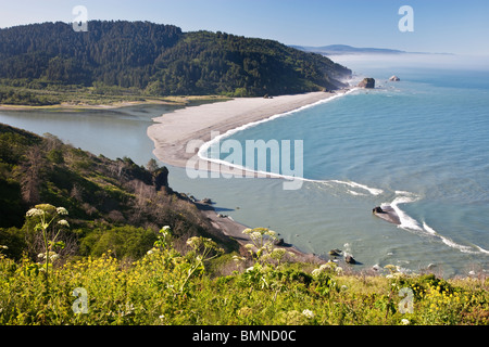 Foce del Fiume Klamath entrando nel Pacifico, la luce del mattino. Foto Stock