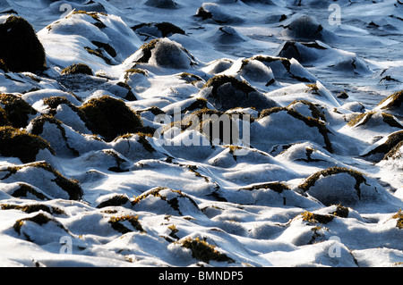 Bocca di marea roughty fiume kenmare fiume lough bay Parknasilla Sneem Irlanda ice frost crosta rocce di crosta di gelo invernale Foto Stock