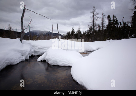 Brook Meadow durante i mesi invernali. Situato lungo il fiume Sawyer Trail in Livermore, New Hampshire USA. Foto Stock