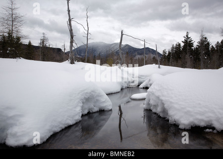 Brook Meadow durante i mesi invernali. Situato lungo il fiume Sawyer Trail in Livermore, New Hampshire USA. Foto Stock