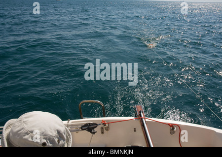 Rete a strascico di plancton, Pembrokeshire, Wales, Regno Unito, Europa Foto Stock