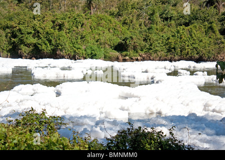 La contaminazione del fiume Tiete a São Paulo Brasil Foto Stock