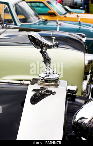 Classic British Auto ornamenti del cofano su una fila di Classic automobili inglesi Foto Stock