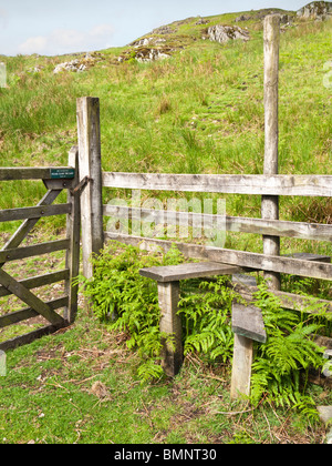 Stile e gate nel Lake District Inghilterra REGNO UNITO Foto Stock