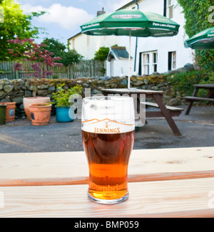 La pinta di birra su di un giardino della birra tabella in un pub nel distretto del lago, Regno Unito - Jennings ale in Cumbria Foto Stock