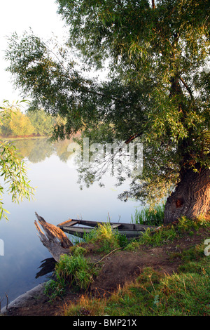 Affondata woden vecchia barca in estate il lago Foto Stock