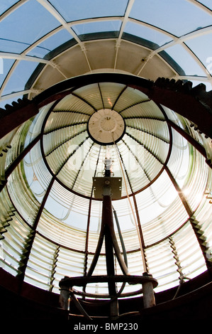 Primo ordine lente di Fresnel in Tybee Island Lighthouse, Savannah GA Foto Stock