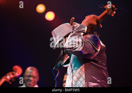 Il chitarrista con Buena Vista Social Club di eseguire a Hay Festival 2010 Hay on Wye Powys Wales UK Foto Stock