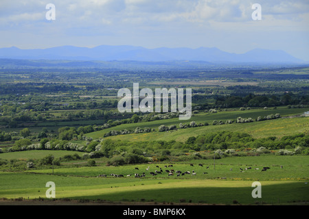 Guardando verso sud sulla città di Castleisland verso il Macgillycuddy Reeks, le montagne più alte in Irlanda, nella contea di Kerry. Foto Stock