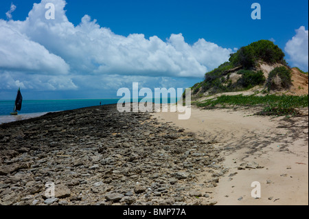 La costa di Bazaruto Island vicino a Vilanculos, Mozambico Foto Stock