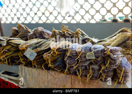 Calamaro asciugato al mercato di Vilanculos, Mozambico. Foto Stock