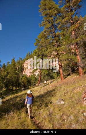 Escursionista sulla Arizona National Scenic Trail sotto le scogliere di arenaria di Anderson Mesa, Coconino National Forest, Flagstaff, in Arizona USA Foto Stock