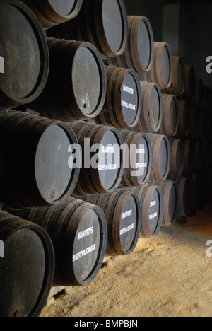 Botti di Sherry, Jerez de la Frontera, la provincia di Cadiz Cadice, Andalusia, Spagna, Europa occidentale. Foto Stock