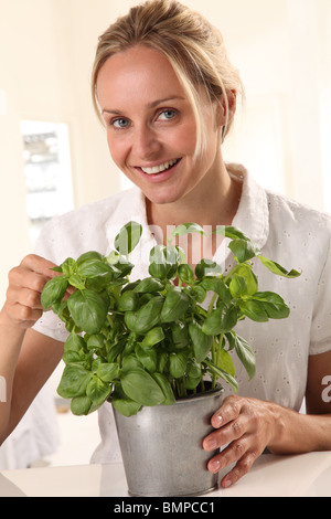 Donna raccolta di foglie di basilico Foto Stock