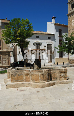 Fontana in Plaza San Pedro, Ubeda, Provincia di Jaen, Andalusia, Spagna, Europa occidentale. Foto Stock