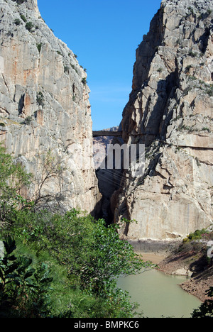 Chorro Gorge, El Chorro Garganta del Chorro, provincia di Malaga, Andalusia, Spagna, Europa occidentale. Foto Stock