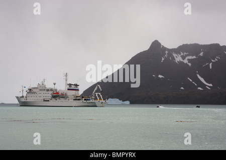 Zodiacs tornando alla Akademik Sergey Vavilov al largo delle coste della Georgia del Sud Foto Stock