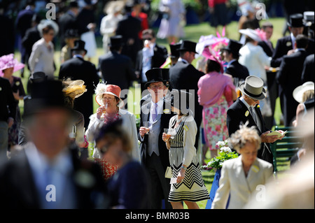 Frequentatori di gara nella Royal contenitore durante il giorno due di Royal Ascot 2010 Foto Stock