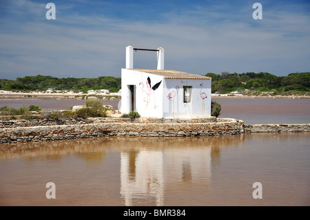 Le saline, Ses Salines, Formentera, isole Baleari, Spagna Foto Stock