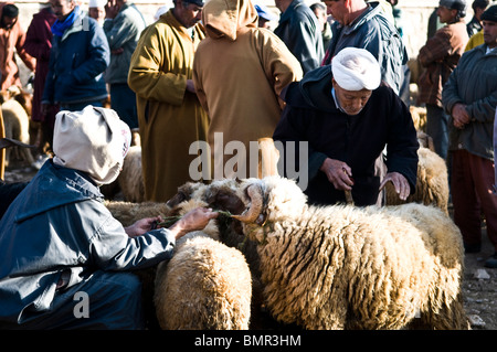 Scena di mercato nel Medio Atlante regione del Marocco. Foto Stock