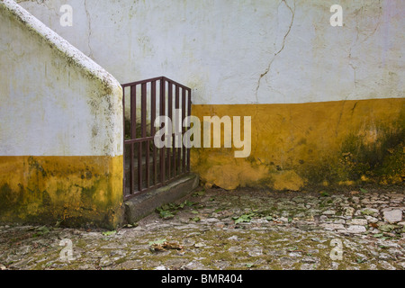 Rustico cancellata in ferro battuto del Vecchio Mondo Europa Foto Stock